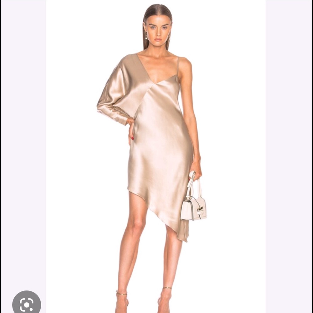 Mason by Michelle Mason dress